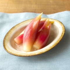 みょうがの甘酢漬け