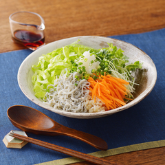 野菜たっぷりしらす丼