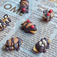 なつめとナッツのスパイシーチョコレート