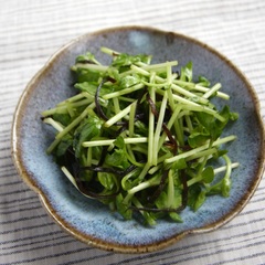 豆苗の塩昆布サラダ