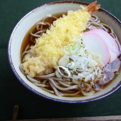 天ぷらのせかけそば