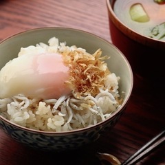 温玉しらすのせご飯