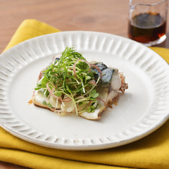 焼きさばのたっぷり薬味のせ