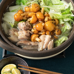 鶏肉と白菜の塩なめこ鍋