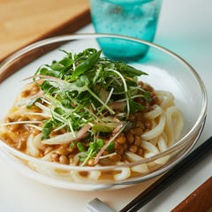 薬味たっぷり納豆冷やしうどん