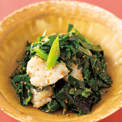 ケールとホタテ、韓国のりのナムル風サラダ