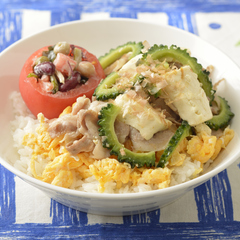 ゴーヤチャンプルー どんぶり