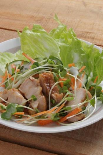 ヘルシーな土佐の地鶏サラダ