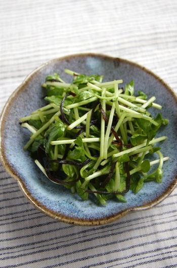 豆苗の塩昆布サラダ