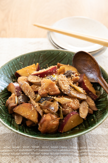 鶏肉と根菜の煮物