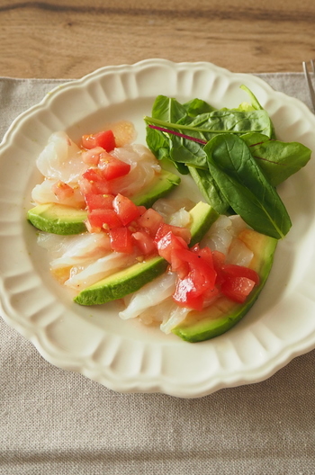 白身魚とアボカドのカルパッチョ　フレッシュトマトソース