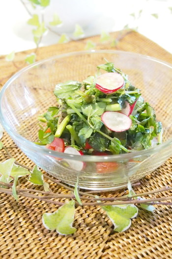 クレソンと牛肉のサラダ