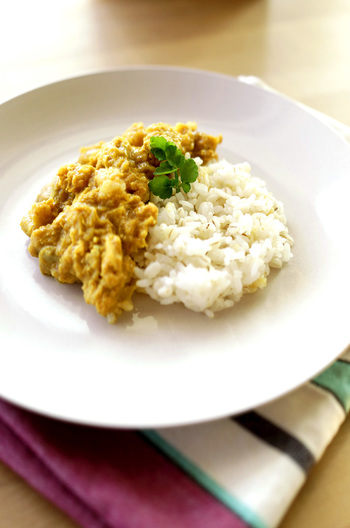 タンドリーチキンカレー