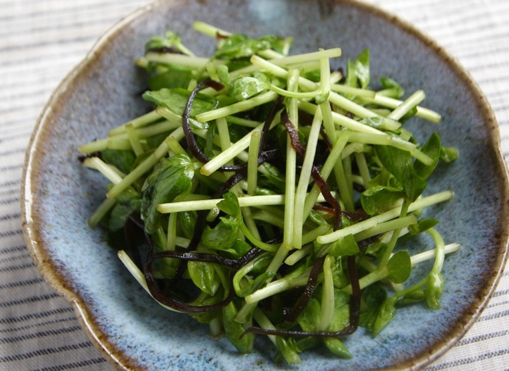 豆苗の塩昆布サラダ