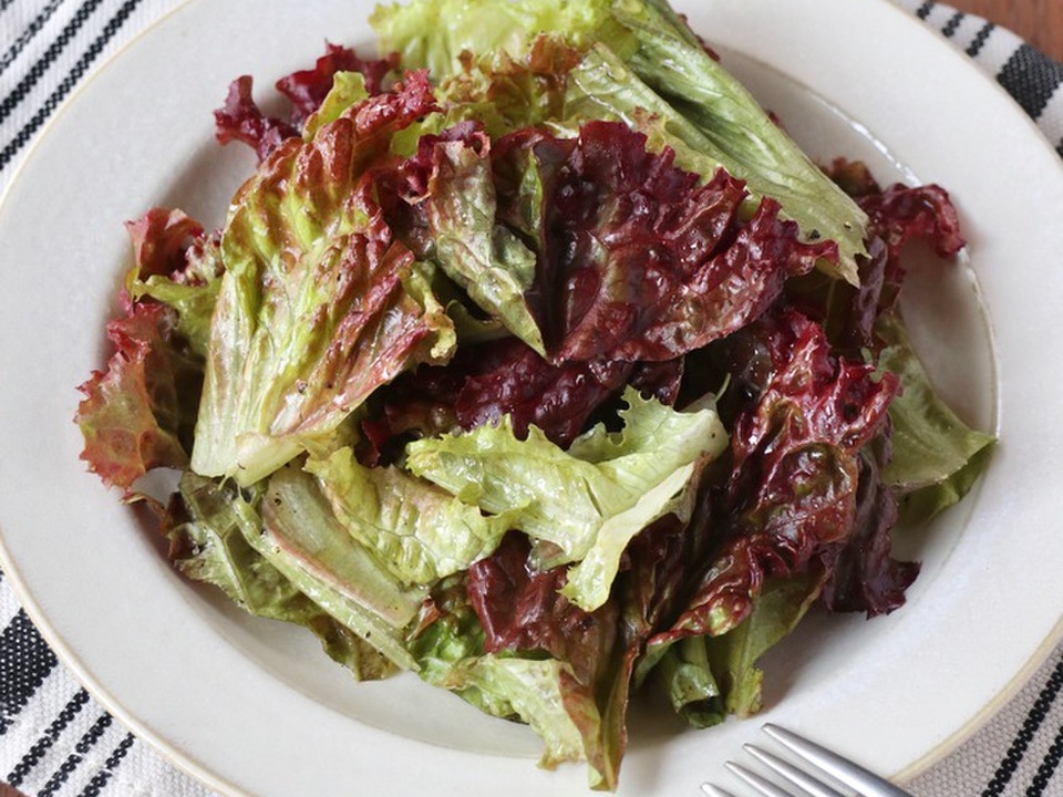 サニーレタスのサラダ