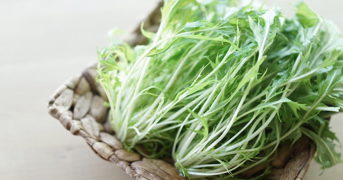 京都の伝統的な野菜「水菜」は緑黄色野菜だった!? 京都の伝統的な野菜「水菜」は緑黄色野菜だった!?