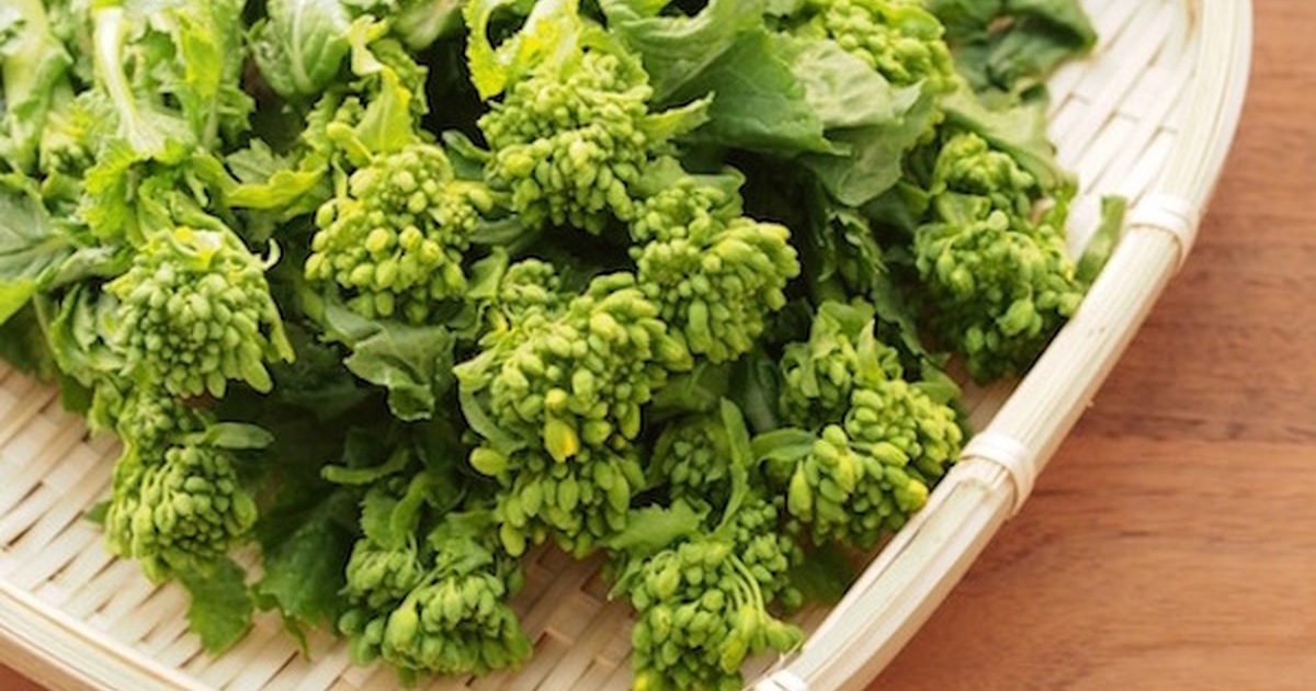 春の楽しみ 菜の花 おすすめレシピ３選