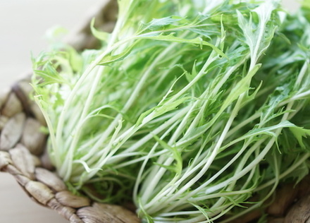 京都の伝統的な野菜「水菜」は緑黄色野菜だった！？