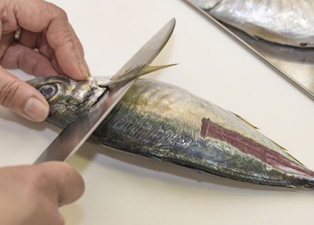 魚をさばこう！【サバの三枚おろし】