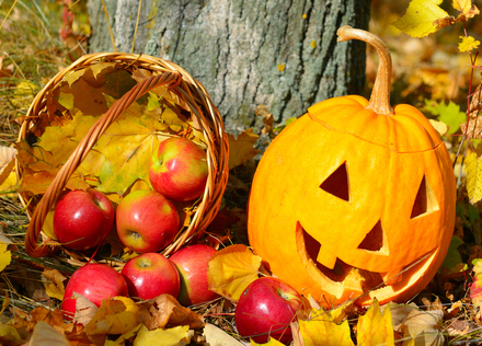 【管理栄養士監修】ハロウィンを楽しむ。かぼちゃとりんごのお菓子