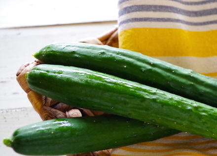 夏においしい野菜「きゅうり」。栄養と保存方法、レシピをご紹介