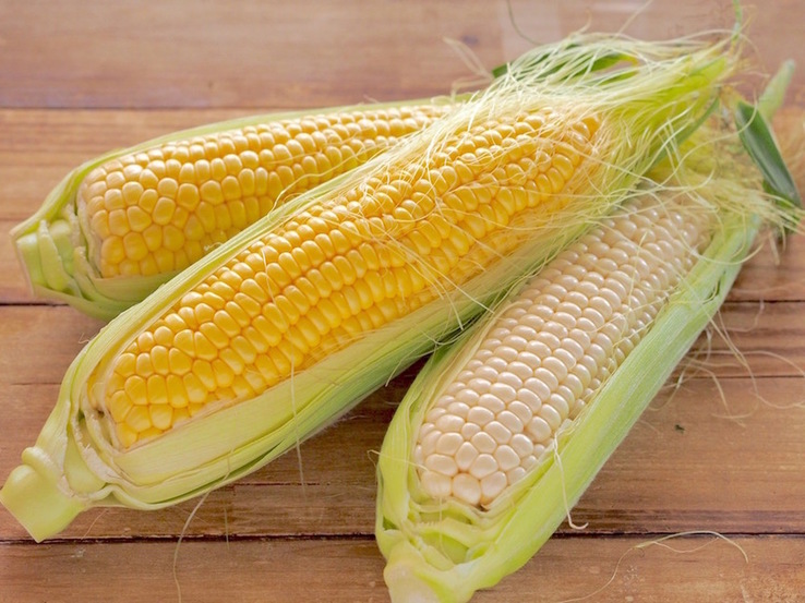 816
