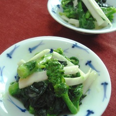 春満載 ウドと菜の花の酢味噌和え