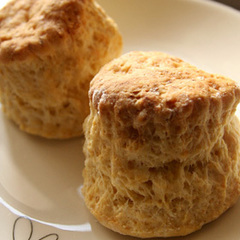 酒粕スコーン