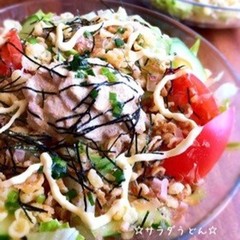 具材たっぷり サラダうどん