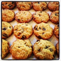 オートミールレーズンクッキー