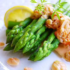 アスパラガスと桜えびのトマトクリームソース