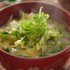 キャベツと豆苗のお味噌汁