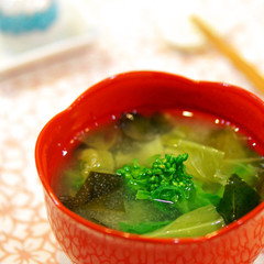 春の香り 菜の花 春キャベツのお味噌汁