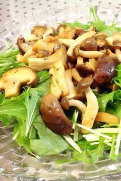 水菜の簡単きのこドレッシングサラダ