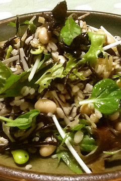 押麦と豆 ヒジキの根菜サラダ