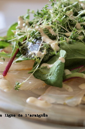 鯛の昆布締め カルパッチョ仕立て