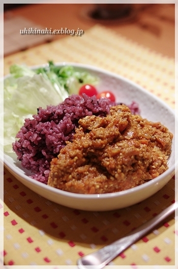 豆腐入りドライカレー