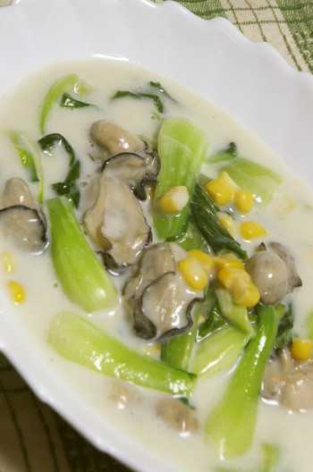 カキとチンゲン菜のクリーム煮