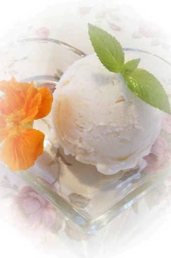 簡単 豆腐アイスクリームレシピ