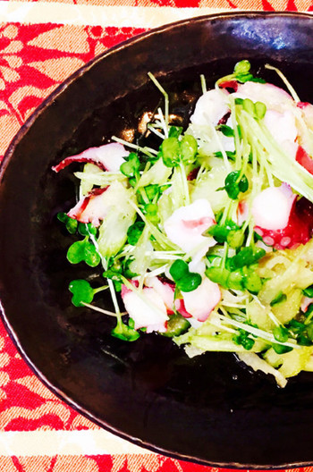 タコとセロリとカイワレのエスニックサラダ