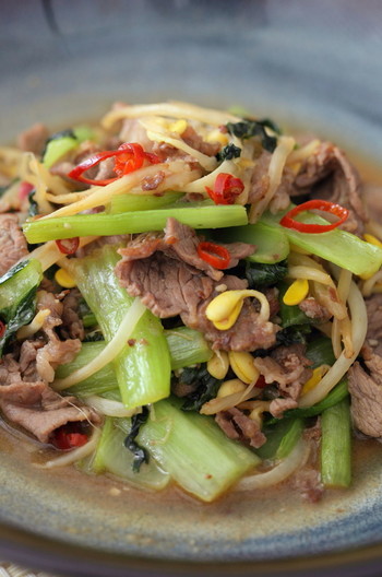 牛肉と小松菜のピリ辛麻辣炒め