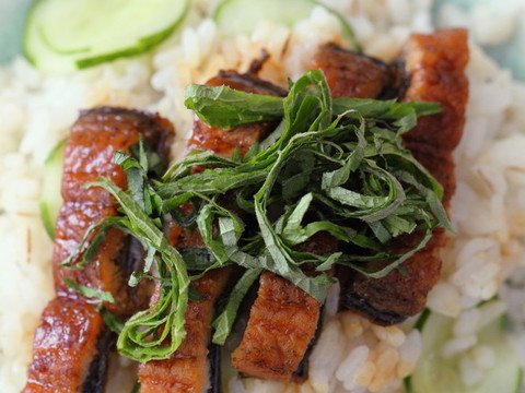 麦ごはんで うなぎの蒲焼寿司