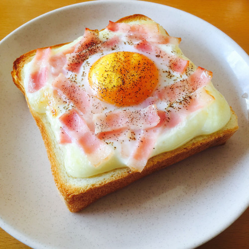 爬虫類ウェットシェルター　目玉焼きベーコントースト 爬虫類ウェットシェルター 目玉焼きベーコントースト - メルカリ