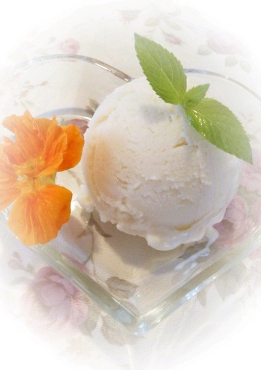 簡単 豆腐アイスクリームレシピ