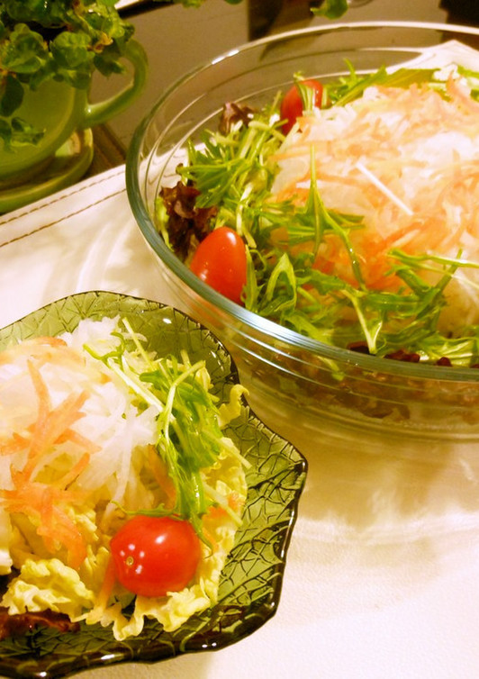 ミニトマトと白菜と大根のサラダ