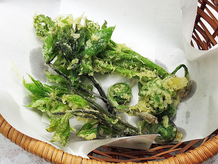 たらの芽 こごみ こしあぶらの山菜天ぷら