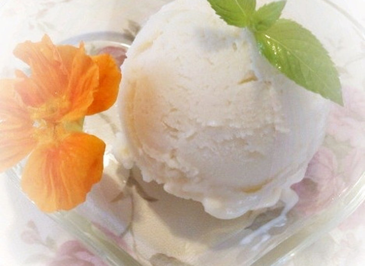 簡単 豆腐アイスクリームレシピ