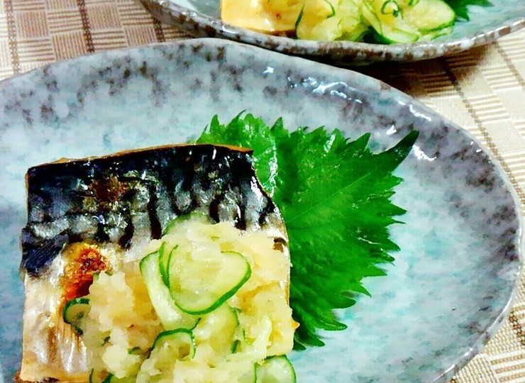 さばの塩焼き大根おろしときゅうり添え