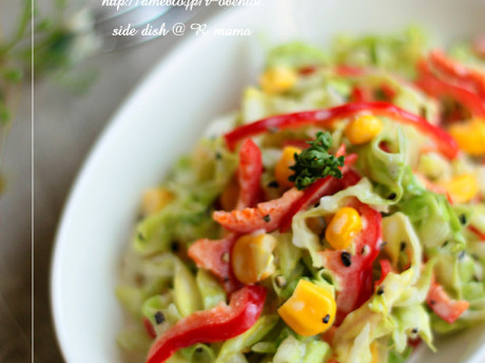 彩りコールスロー