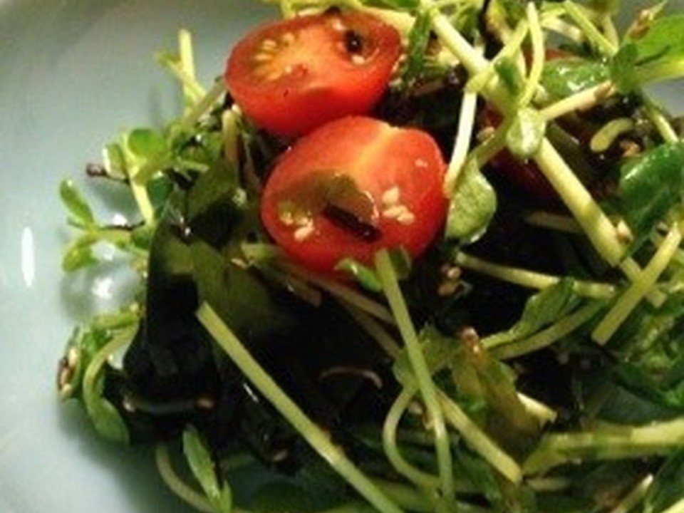 豆苗の海藻サラダ